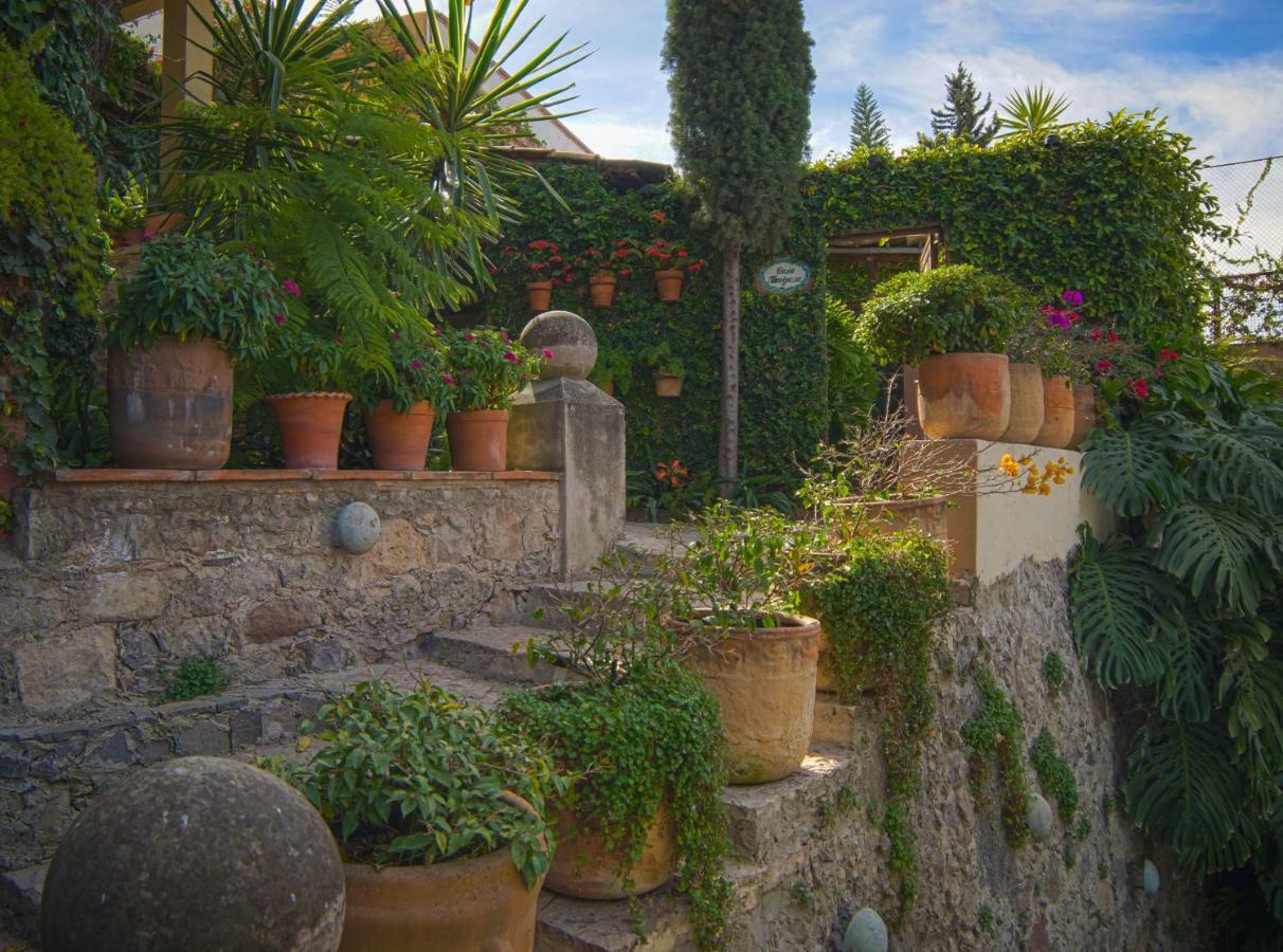 Las Terrazas San Miguel de Allende Exterior photo